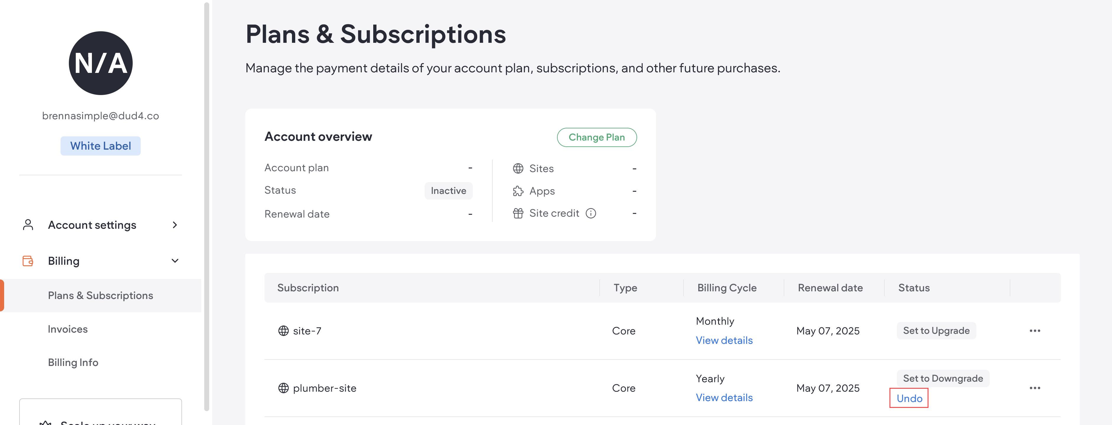 Uma tabela com assinaturas e seus detalhes. Ao lado de cada assinatura, há um status cinza definido como downgrade. Abaixo está um botão azul Desfazer para desfazer o downgrade programado.