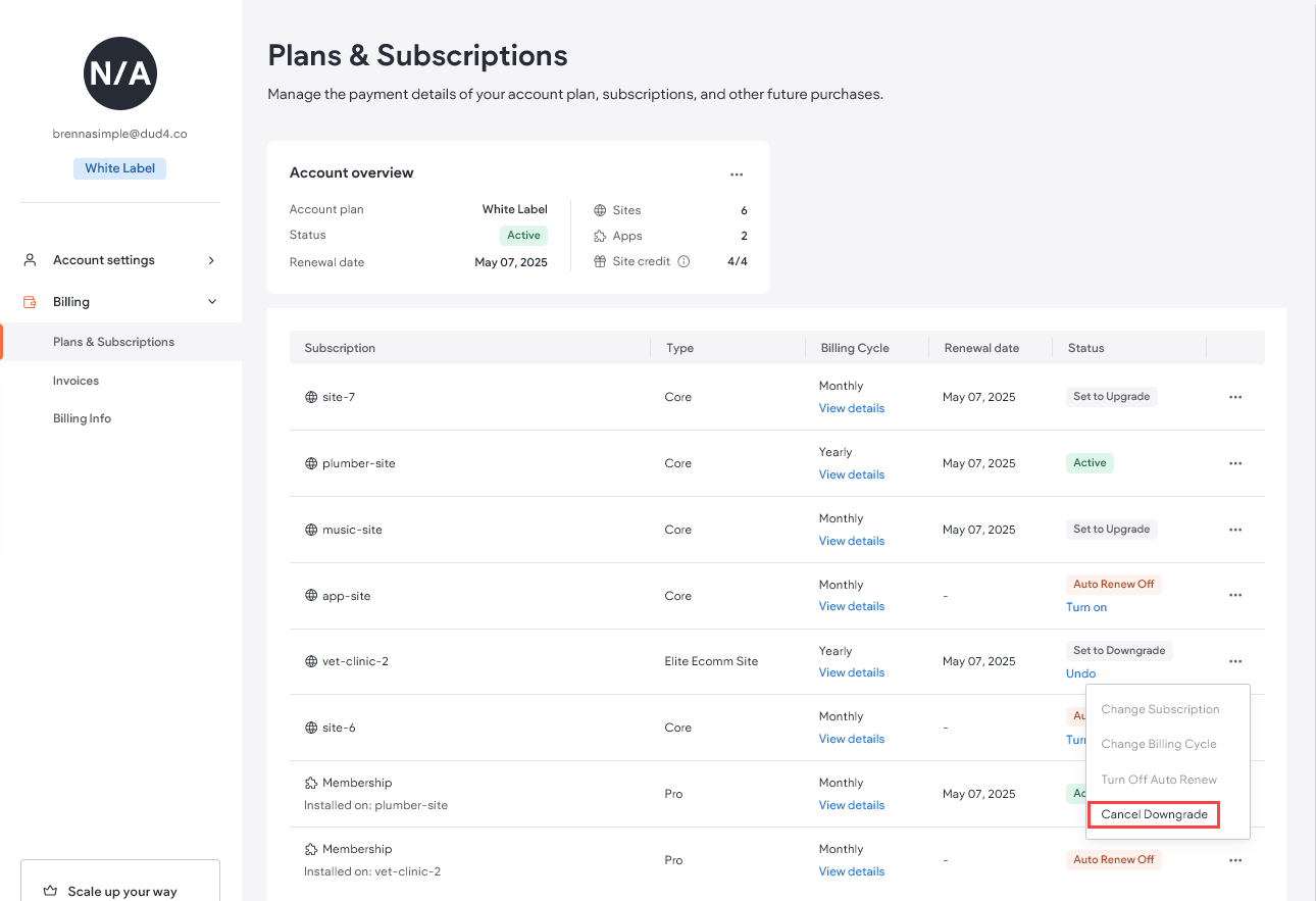 Uma tabela com assinaturas e seus detalhes. Ao lado de cada linha há um ícone com três pontos horizontais. Clicar nele abre um menu onde você pode selecionar Cancelar downgrade.