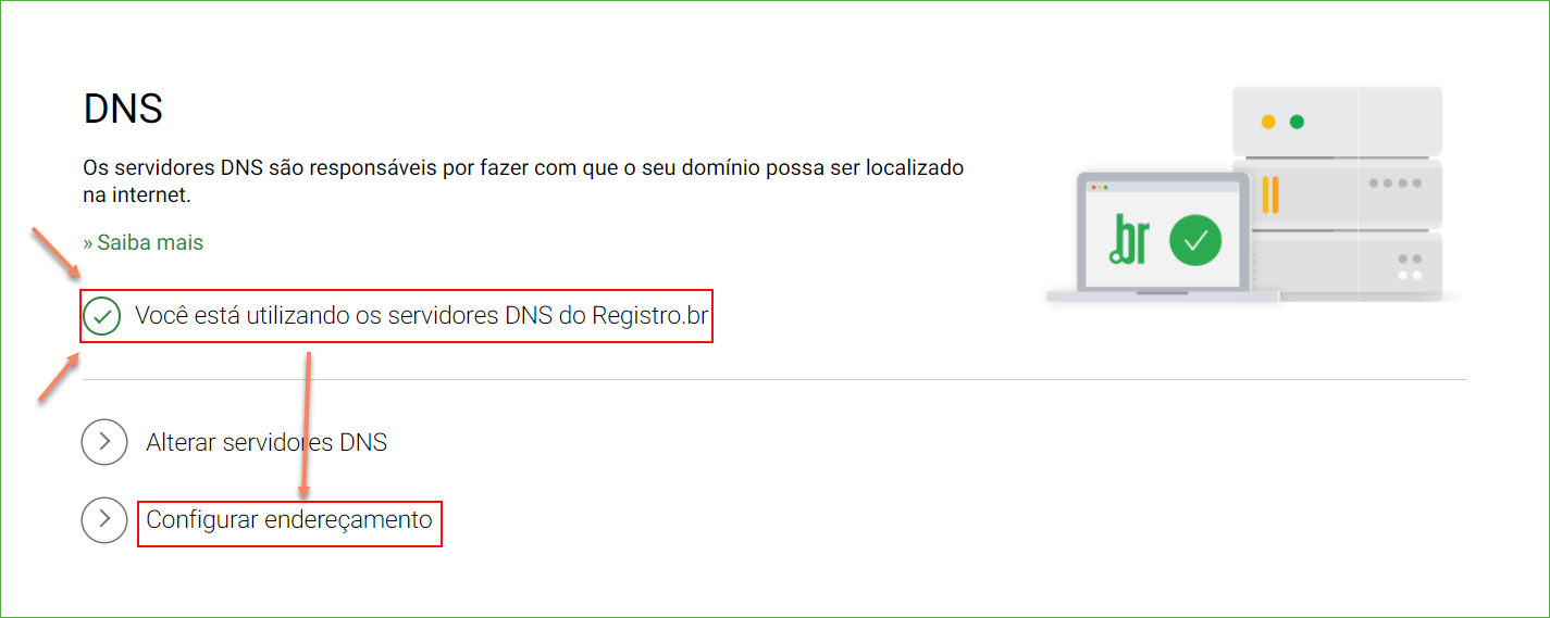 RegistroBr_3.png