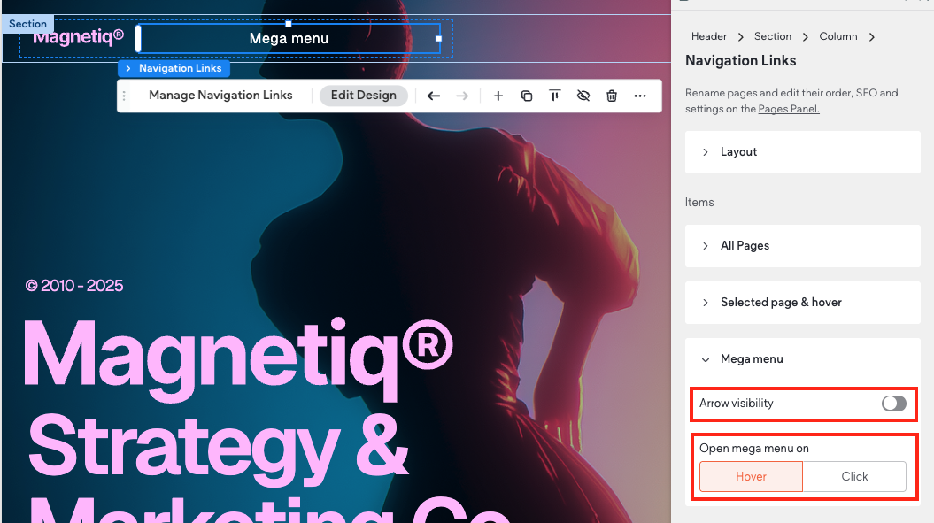 Captura de tela_2025-11-19_às_14h46min56s.png