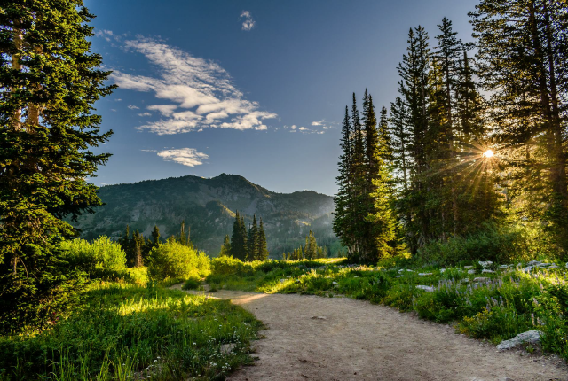 La photo de nature présentée doit être recadrée au format 3:2.