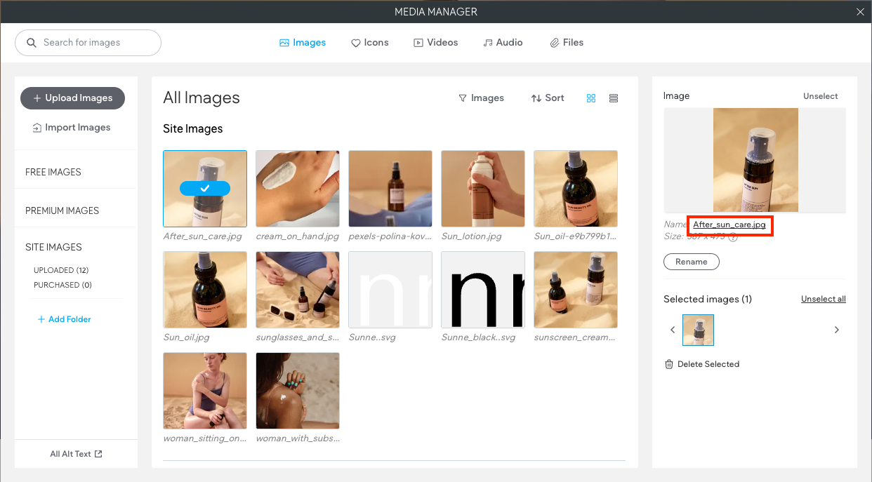 Right side of the media manager with a selected image. The image file name is selected.
